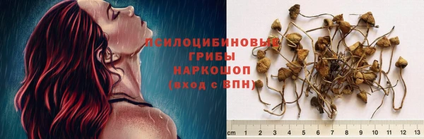 винт Ростов